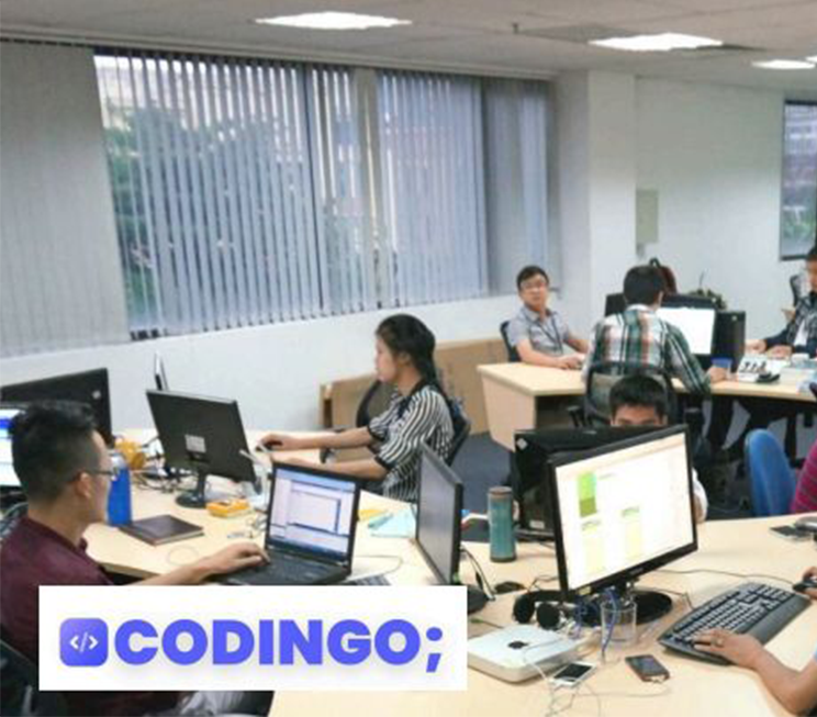 codingo cover
